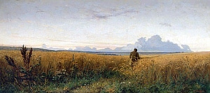   .    , 1881