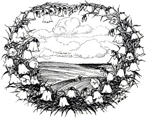 ����� �������������. ��������. ����������� � ������������� �. �. �������� ������������� ���...�.  �������-�������� ����� ���������, 1910-�