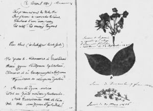Рукопись стихотворения Тютчева «Не знаю я, коснется ль благодать...» Автограф, 1851