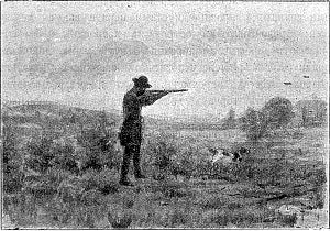    . .    . 5- . - -: . , 1908