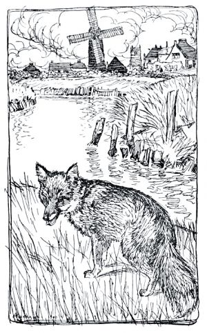        .    (1867-1939)