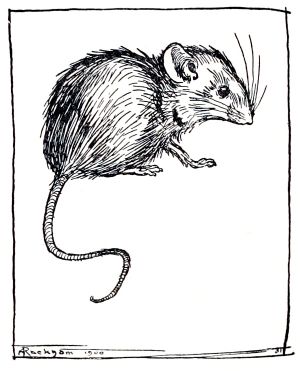 .    (1867-1939)