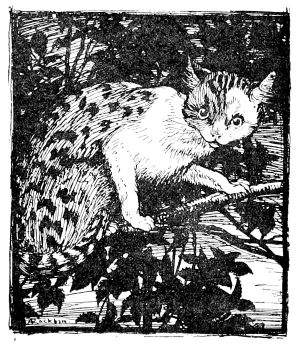        .    (1867-1939)