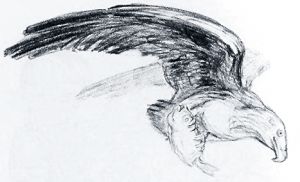 Иллюстрация А. Ф. Пахомова к рассказу Толстого «Орёл»