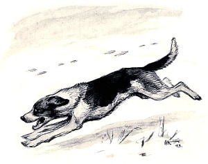 Иллюстрация к рассказу Л. Н. Толстого «Чутье». Бегущая собака. Комаров Алексей Никанорович, 1943 г.