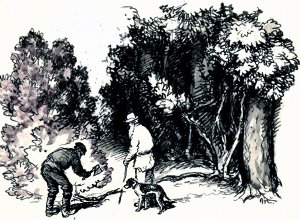 Иллюстрация А. Н. Комарова к рассказу Л. Н. Толстого «Как ходят деревья». Л. Н. Толстой в парке