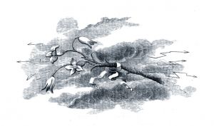 Иллюстрация к стихотворению «РОЖДЕНИЕ ЛЮБВИ» найденная в рукописях Державина