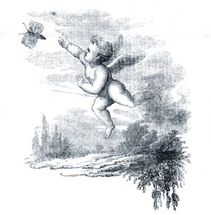       Ż    