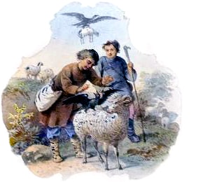   .       .  , 1876