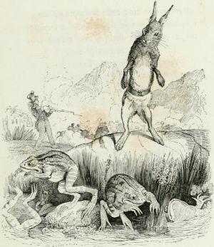         Ȼ