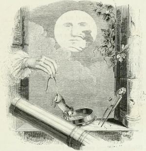         Ż