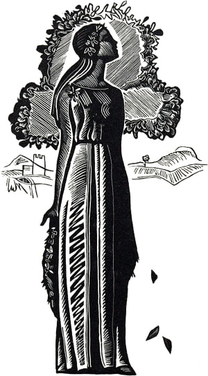    54 . .     , 1965 .