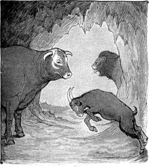        .   , 1919