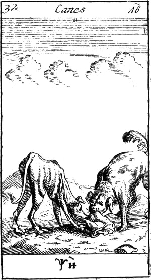 .  . , 1712. .