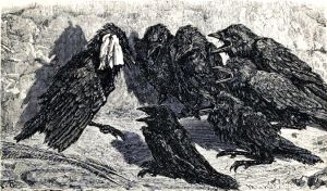    (1869)      ۻ