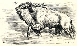    (1869)      ʻ