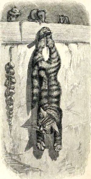    (1869)      Ȼ