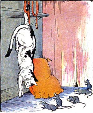      .   , 1919