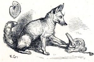    (1869)      