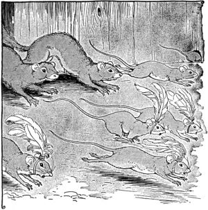      .   , 1919