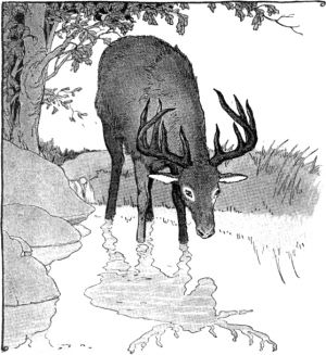       .   , 1919
