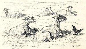    (1869)    ,   ջ