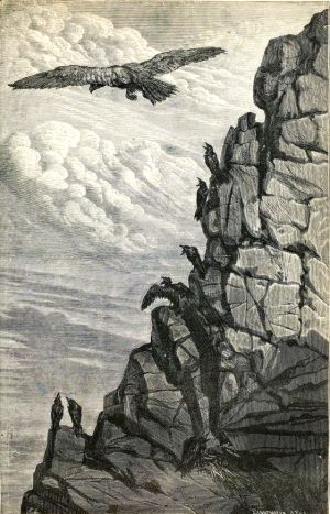 ,   .    (1843-1907)