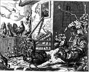   .   ,   . .   . , 1821.