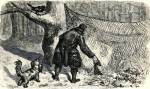    (1869)      ʻ