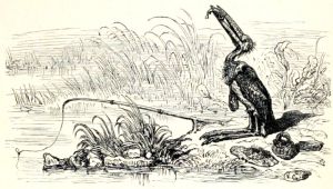    (1869)      