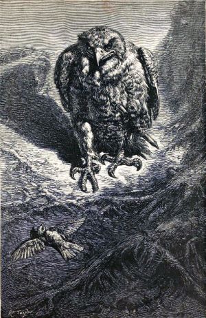    (1869)      