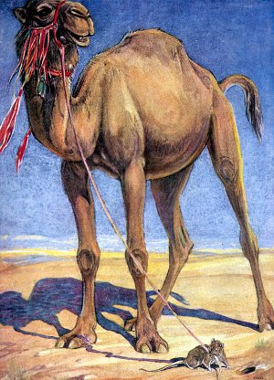 .   , 1921