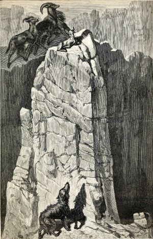    (1869)      ʻ