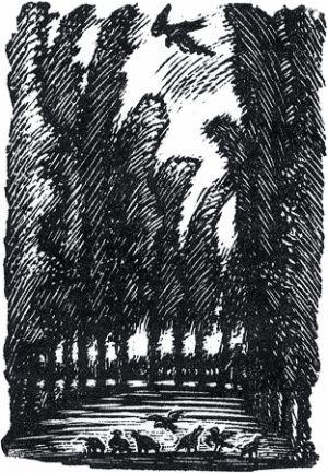  ..    ..   !, 1967