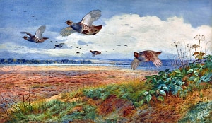 .    (1860-1935)