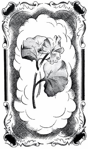 Иллюстрация к стихотворению А. А. Фета «Окна в решётках, и сумрачны лица...». В. М. Конашевич, 1921