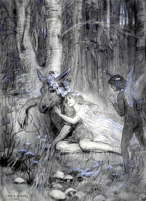  ,           III,  II,   , 1905 .