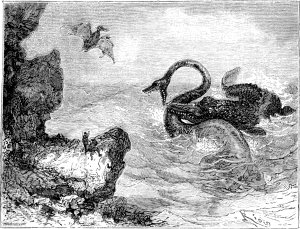 �������� � ������-��������������� ������ ���� ����� ������������ � ������ �����. �������� ������ ���, 1867