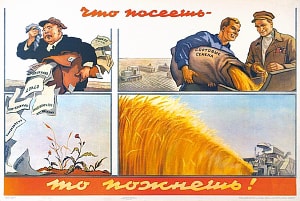 Плакат «Что посеешь — то пожнешь!». Художник Е. Малолетков, 1955 г.