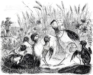    .    (1803-1847)