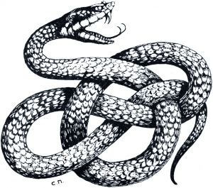 Иллюстрация И. С. Панова (1911 г.) к басне Крылова «Змея»
