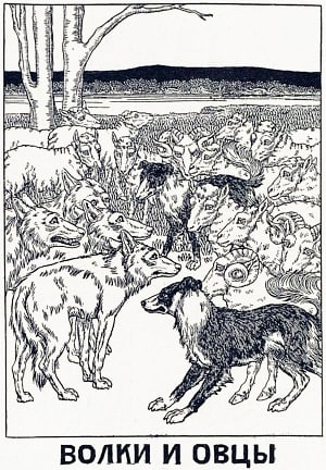 Иллюстрация к басне Ивана Андреевича Крылова «Волки и Овцы». Рисунок Н. Ольшанского и П. Беллингерста (1902)