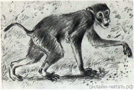  .    .     (1937 .)