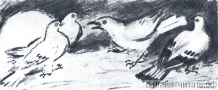 Иллюстрация К. Рудакова к басне Толстого «Галка и голуби»
