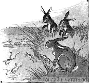   .   , 1919 .