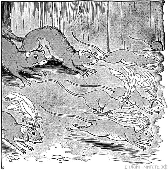     .   , 1919