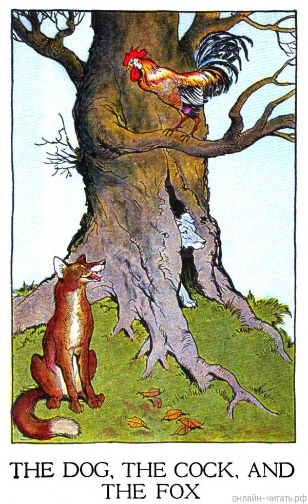 ,   .   , 1919