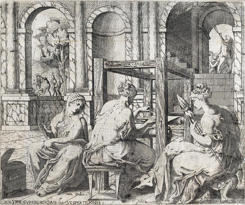  .  ,  , 1545 .