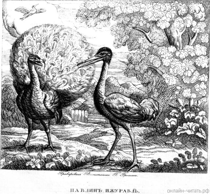   .   ,   . .   . , 1821.