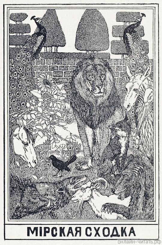 Иллюстрация к басне Ивана Андреевича Крылова «Мирская сходка». Рисунок Н. Ольшанского и П. Беллингерста (1902)